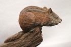 Tim Wolfe Chipmunk Sculpture Figurine Ginny 1991 — photo 8