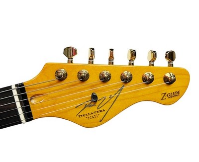 Dean Zelensky Dellatera ATW Deluxe Paisley Electric Guitar in
