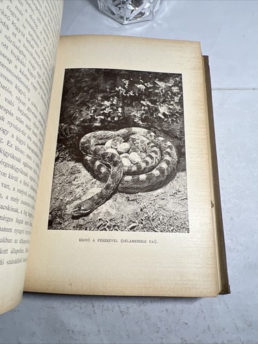1906 EAST & DUTCH INDIES, INDIA - Aden to Java: Gaspar Ferencz. Hardcover, RARE - Picture 14 of 24