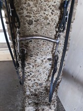 Kandarengebiss Gr. 15,5 mit kurzen Anzügen Neuwertig