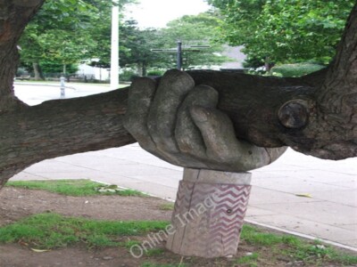 Foto 6x4 Gib dem Baum die Hand um oben zu bleiben! Bideford Just behind the Kin c2009