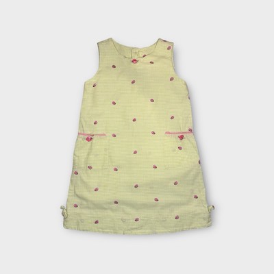 Cach Cach Vintage Lime Green Pin Check Plaid Ladybug Embroidered Pattern Dress