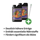 Bild 2 von 3