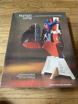 Vintage Lindberg Human Lung Plastic Model Kit New Sealed #1340