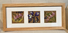 Real Pressed Flowers In Wooden Frame 15" x 6 1/2" Handmade, Artwork from NH