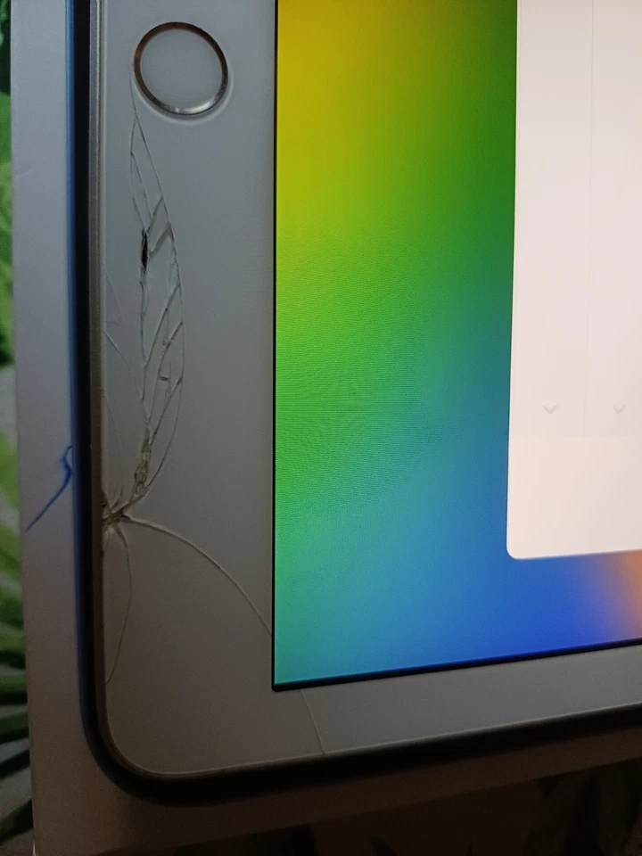 Apple iPad 5. Gen. 32GB, WLAN, 24,64 cm, (9,7 Zoll) - Silber - Bild 2 von 4