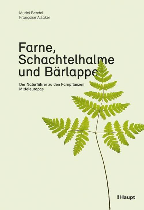 Thumbnail - Farne, Schachtelhalme Und Bärlappe | Muriel Bendel (u. A.) | Deutsch |