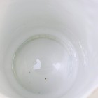 Picture 8 of 8