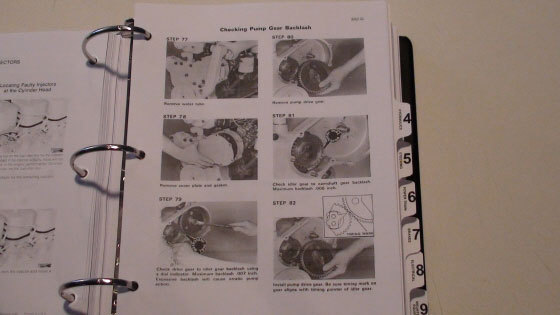 Picture 3