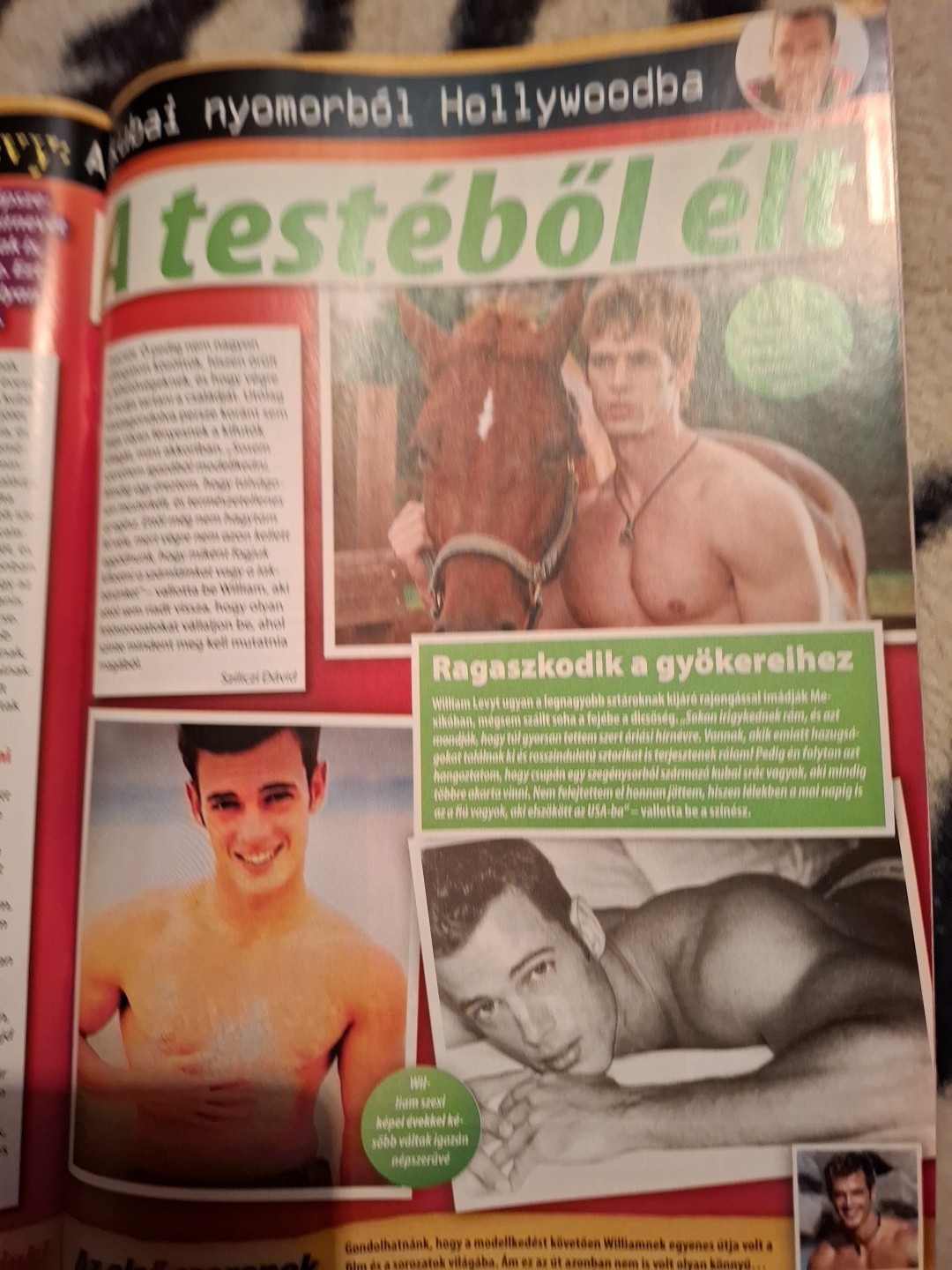 Bild 9 von 12