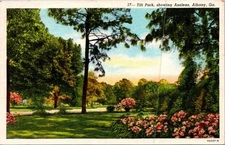 Vintage Linen Postcard Tift Park Azaleas Albany GA by Georgia Cigar