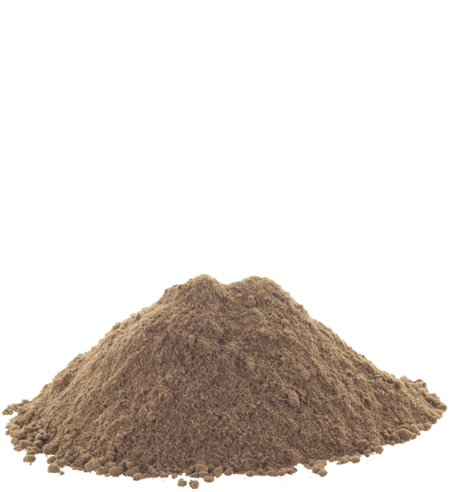 Poudre D'écorce D'Acacia Nilotica (Babool/Babul) - Herbe Ayurvédique Indienne, Neuve, Expiration 2027