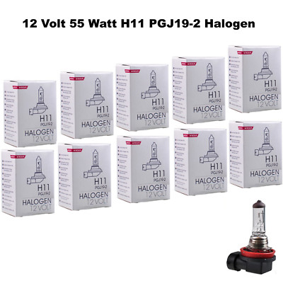 10x M-Tech 12V 55W H11 PGJ19-2 Halogen Glühlampe Autolampe Glühbirne Lampe   T8w