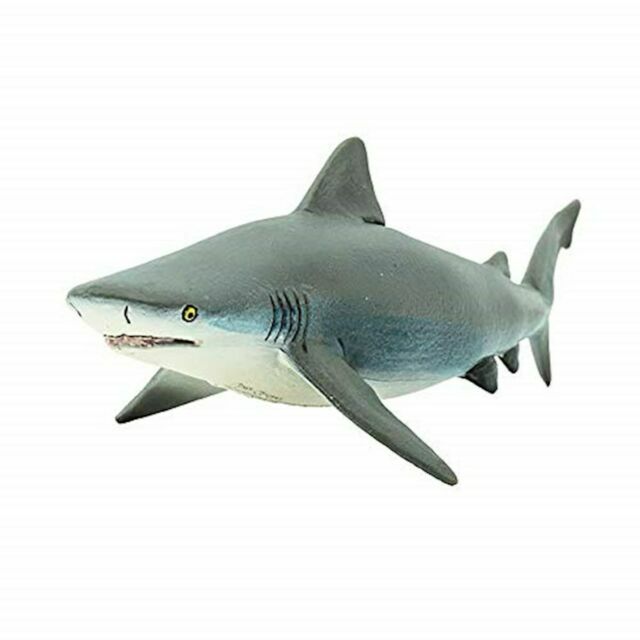 Bull Shark Safari Ltd 422429 Ocean Sea Animal Replica For Sale Online Ebay