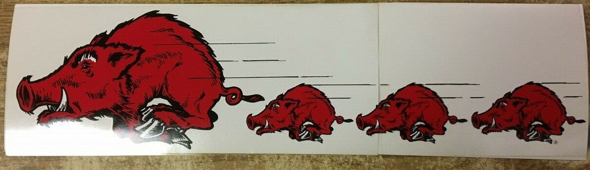 WinCraft Cordino Ufficiale Arkansas Razorbacks – Grigio Con Fibbia Staccabile – Larghezza 2,5 Cm - 4