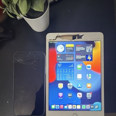 Apple iPad mini 4 and iPhone XR 