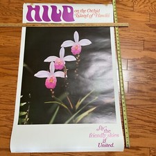 60’s Vintage Hawaiian 🌺 Orchids United Airlines Travel Poster Original