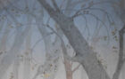 Bild 6 von 8