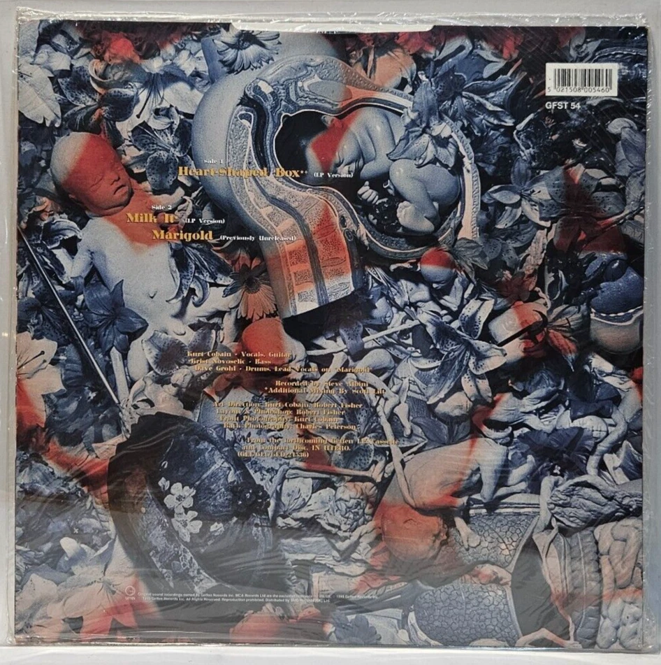 Nirvana – Heart-Shaped Box - 1993 ALT ROCK 12" 45RPM from UK - NOS SEALED - Image 2 of 2