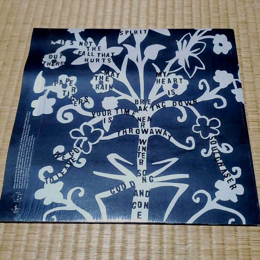 Caesars Paper Tigers Lp Analog Record | eBay