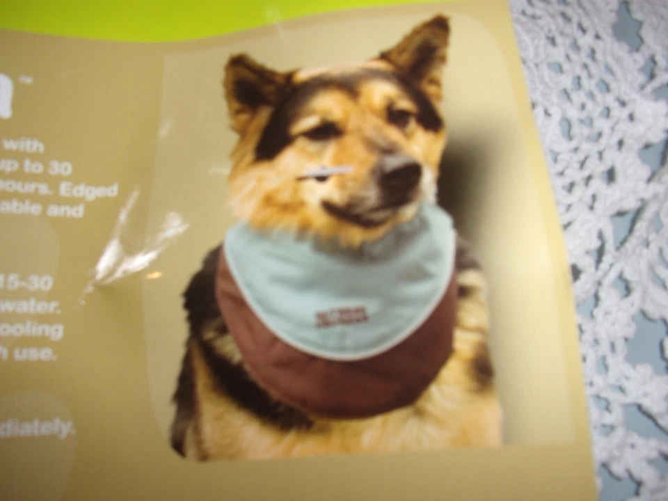 Bandana KYJEN Outward Hound Perro ENFRIAMIENTO Cool-It S Pequeña Foto 3 de 3