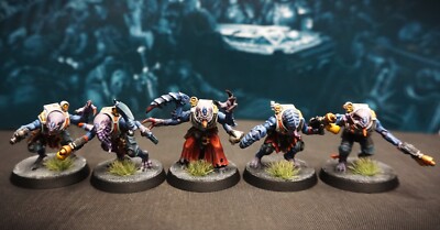 Hybrid Metamorphs Genestealer Cults painted Warhammer 40k Tyranids
