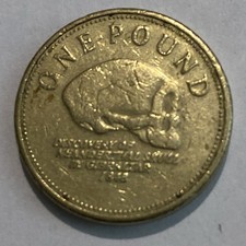 Neanderthal Skull In Gibraltar £1 One Pound Coin Circulated 2008