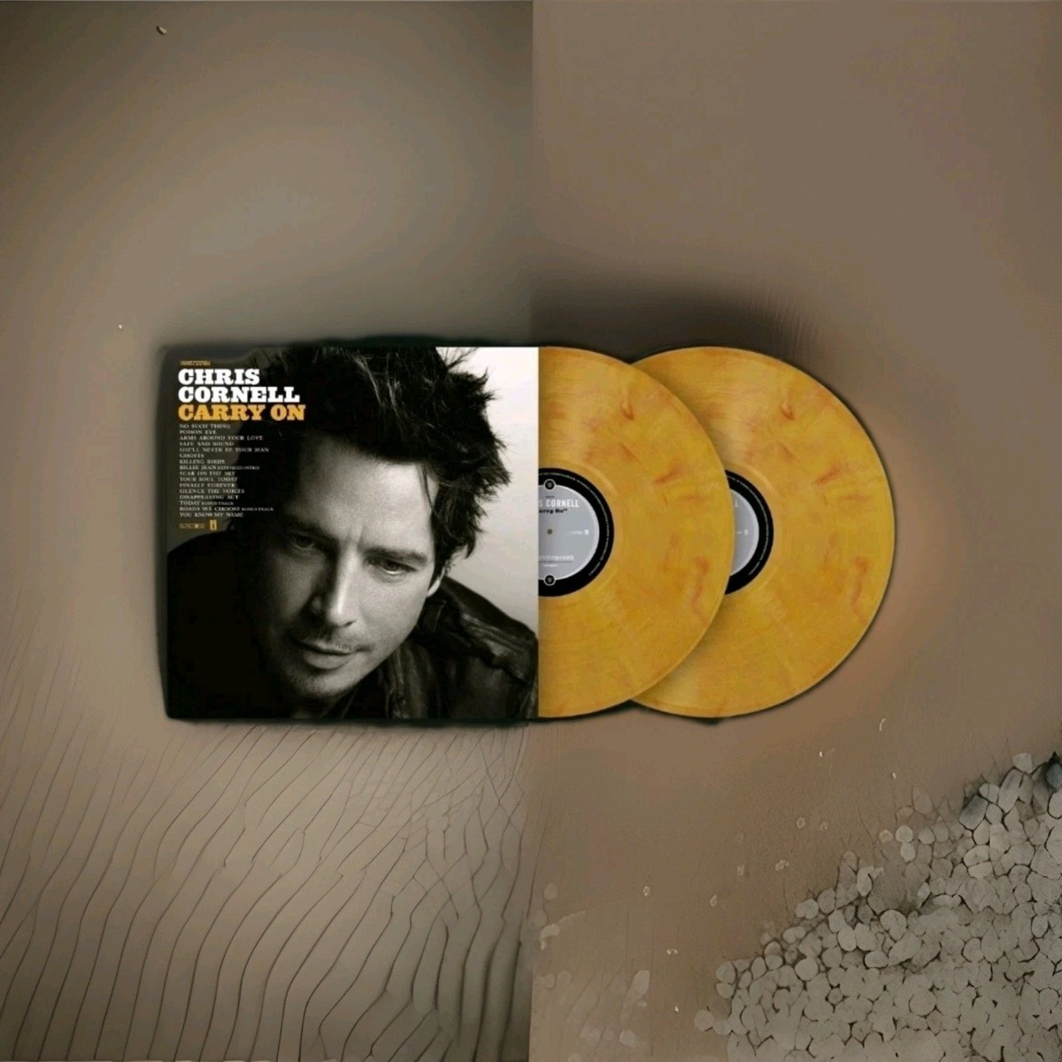 EQUASIAN LPレコード Chris Marshall Chris Cornell Carry On 2LP Interscope Vinyl Collective IVC