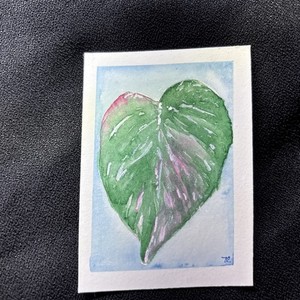 ACEO pink variegated philodendron Leaf Original mixedmedia Signed 2.5” x 3.5”ATC