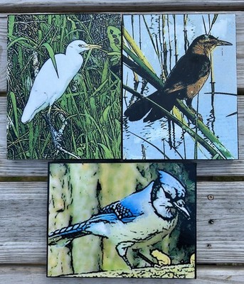3 Block Art Framed Birds Wall Art Blue Jay Egret Bird Boat Tailed Grackle