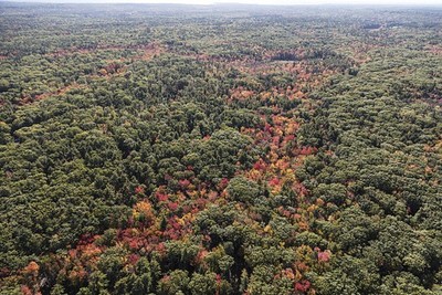 Photo:Ogunquit Maine 2017 Aerial View Fall Foliage Forests Evergreens