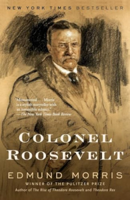 Colonel Roosevelt - Taschenbuch NEU Morris, Edmund 2011-10-18
