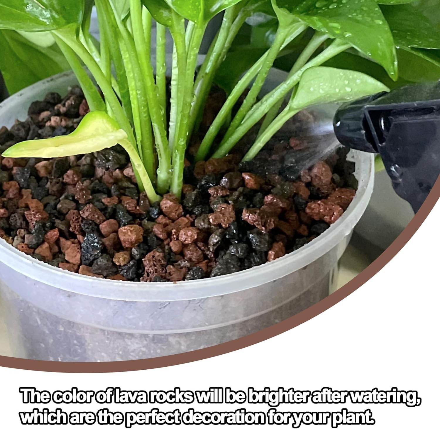 18lb Decorative Lava Rocks - Natural Plant Care & Soil Conditioner for Your Home