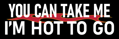 You Can Take Me I'm Hot To Go Fun Dating Sticker