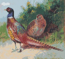 Pheasants Game Bird Complete Counted Cross Stitch Kit 12" x 11" 14  Count