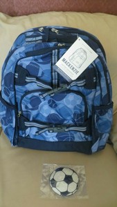 pottery barn mlb backpack large