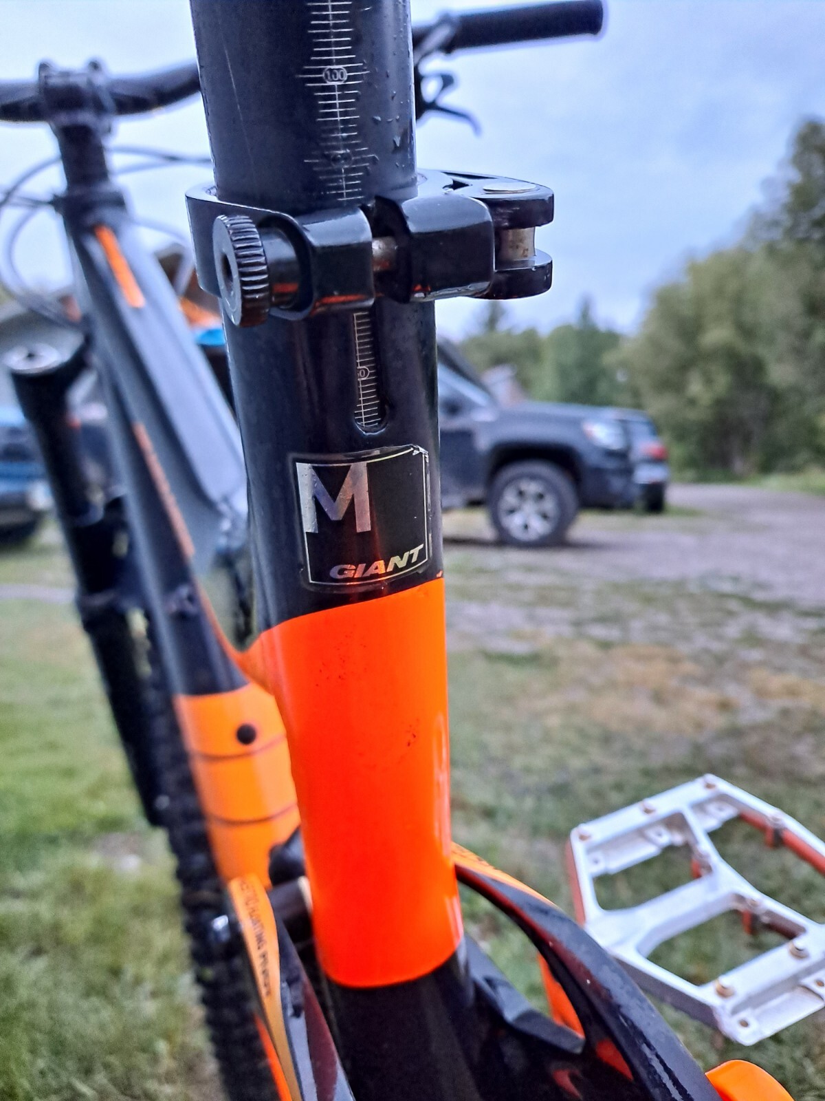 2017 Giant Reign SX Mountain Bike (Medium)