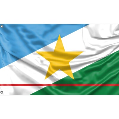 Roraima, Brazil Flag | Fahne Unikales Design 90x150Herg. in EU
