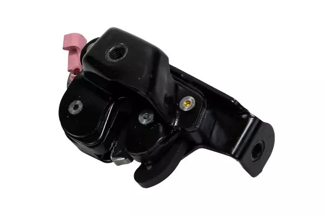 Cerradura de puerta trasera para GM (P/N 25784597)