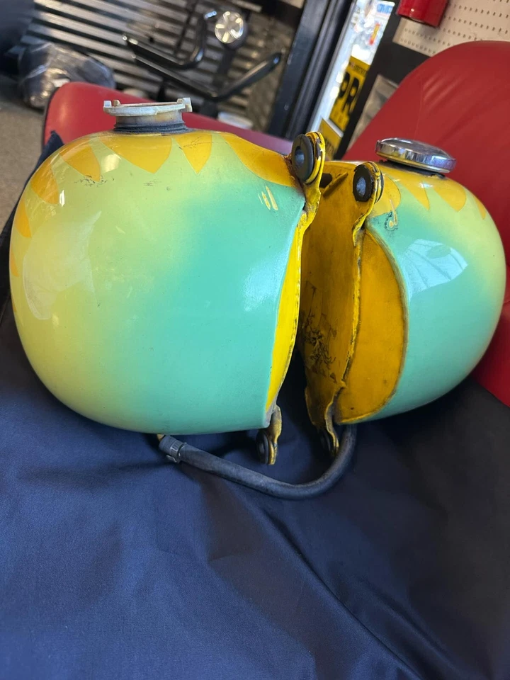 Harley-Davidson Softail tanque dividido Foto 4 de 4