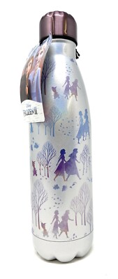 Disney Frozen II Trinkflasche Metall 500 ml Elsa und Prinzessin Anna Fearless Funko