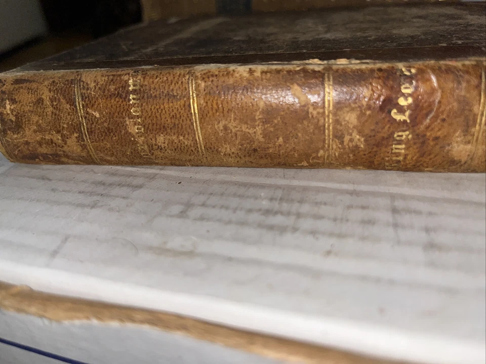 1878 German & English: Shakespeare’s Coriolanus By Dr Al Schmidt - Image 3 of 4