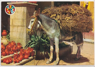 AK - (ESP) - Pferd (Equus caballus) -  Hausesel (Equus asinus asinus)  - P3