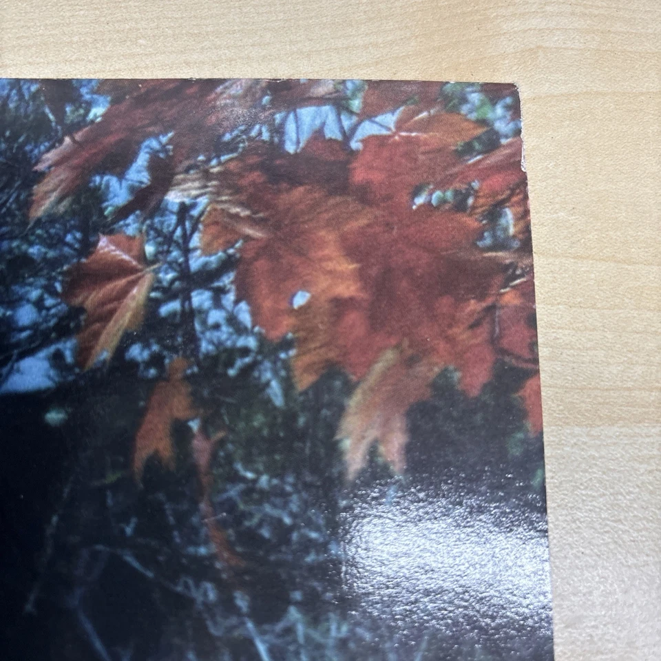 Bubba Sparxxx - Deliverance Maxi 12" Vinyl Beat Club 986 201 4 von 2004 - Bild 2 von 4