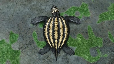 Ark Survival Ascended PC/PS5/XBOX PVE- NEW ARCHELON 200+ high lvl