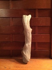 Beautiful 11" DRIFTWOOD Art Piece Terrarium Taxidermy Aquarium Beach Wood DECOR