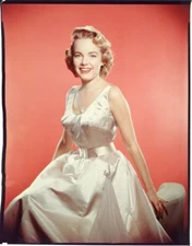Terry Moore beautiful Vivid Color Photo Shoot 1950's Original 8x10 Transparency