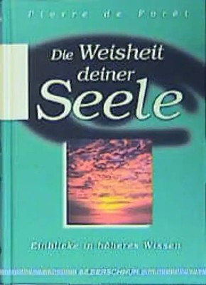 Die Weisheit Deiner Seele. Einblick in höheres Wissen