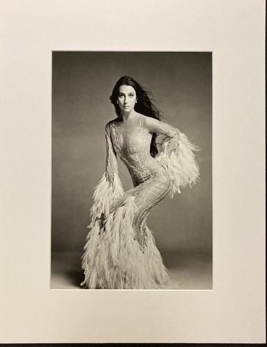 CHER New York 1974 RICHARD AVEDON 2008 Vintage Print museum mat mount 16x20 - Picture 4 of 4