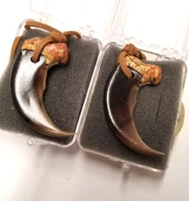 LOT 2 PVC Bear Claw for Strength/Stamina Healing/Dreaming Leather Cord Necklace